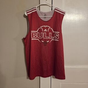 Bulls Large Jersey